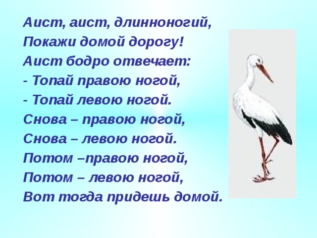 Какой тип развития характерен для аиста белого изображенного на рисунке