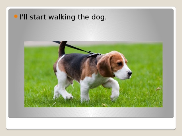 I'll start walking the dog. 