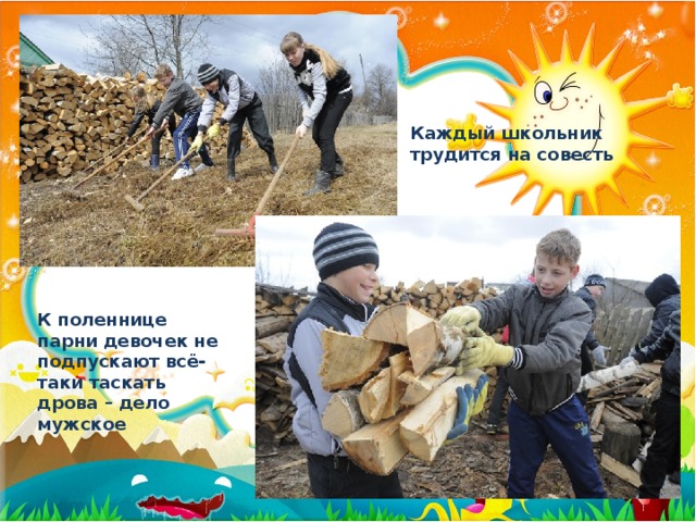 Каждый школьник трудится на совесть К поленнице парни девочек не подпускают всё-таки таскать дрова – дело мужское