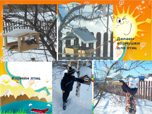 Делаем кормушки для птиц Кормим птиц