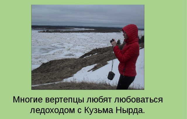 Многие вертепцы любят любоваться ледоходом с Кузьма Нырда. 
