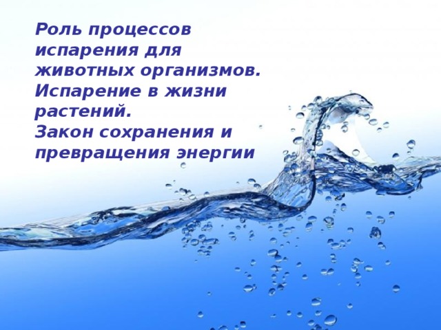 Роль процессов испарения для животных организмов. Испарение в жизни растений. Закон сохранения и превращения энергии 