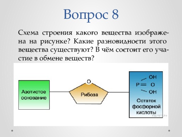 Определите схематическое строение какого вещества изображена на рисунке аденин рибоза