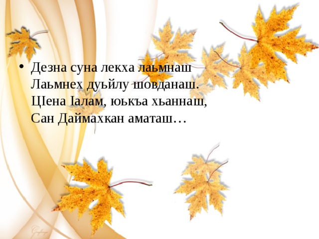 Дезна суна лекха лаьмнаш  Лаьмнех дуьйлу шовданаш.  ЦIена Iалам, юькъа хьаннаш,  Сан Даймахкан аматаш… 