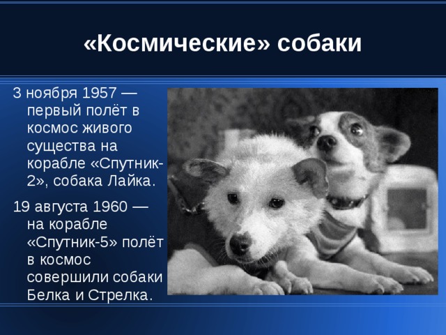 3 ноября 1957 — первый полёт в космос живого существа на корабле «Спутник-2», собака Лайка. 19 августа 1960 — на корабле «Спутник-5» полёт в космос совершили собаки Белка и Стрелка. 