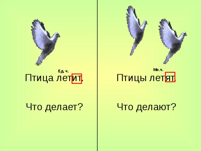 Птицы летят. Что делают? Птица летит. Что делает? Мн.ч. Ед. ч.  