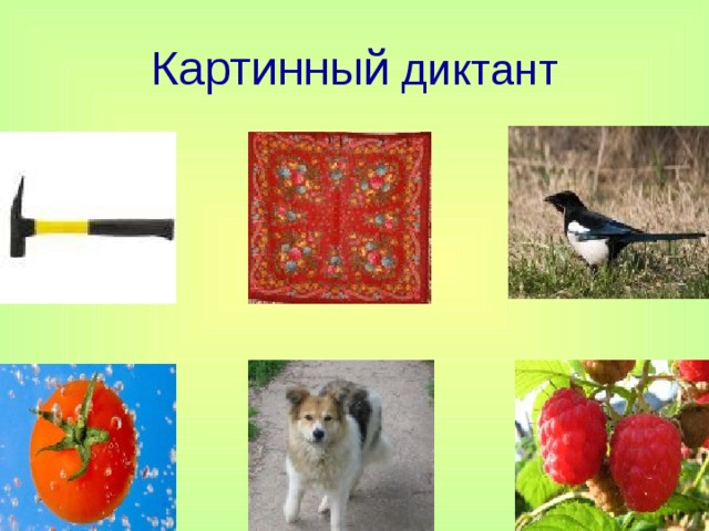 Картинный диктант 