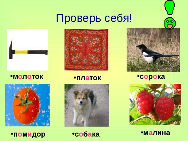 Проверь себя! м о л о ток с о р о ка пл а ток м а лина п о м и дор с о б а ка 