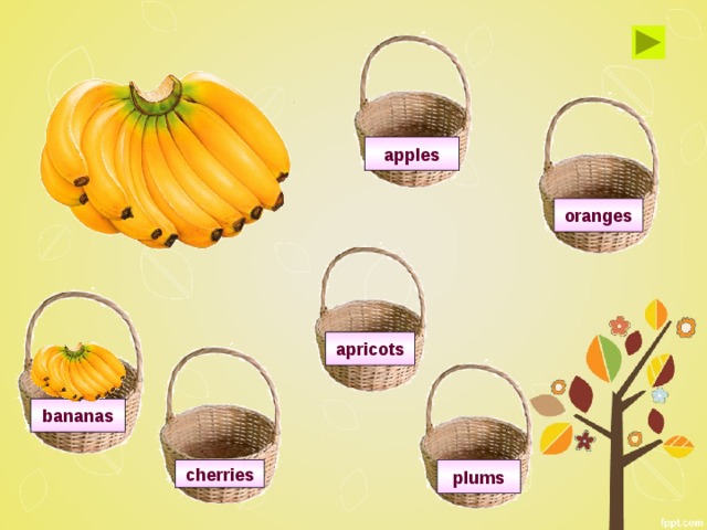 apples oranges apricots bananas plums cherries 