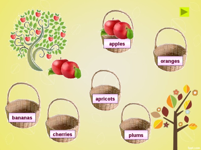 apples oranges apricots bananas cherries plums 