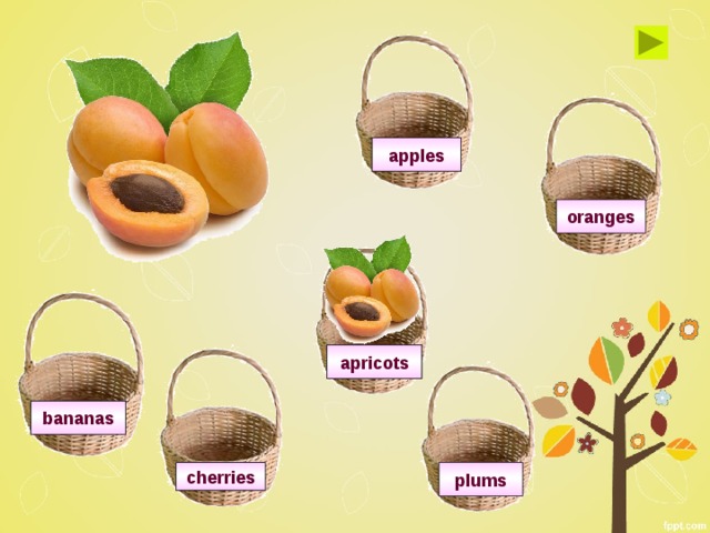 apples oranges apricots bananas plums cherries 