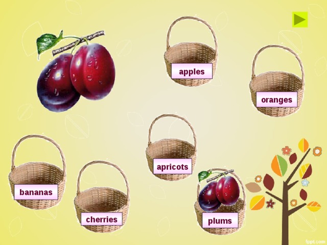 apples oranges apricots bananas cherries plums 