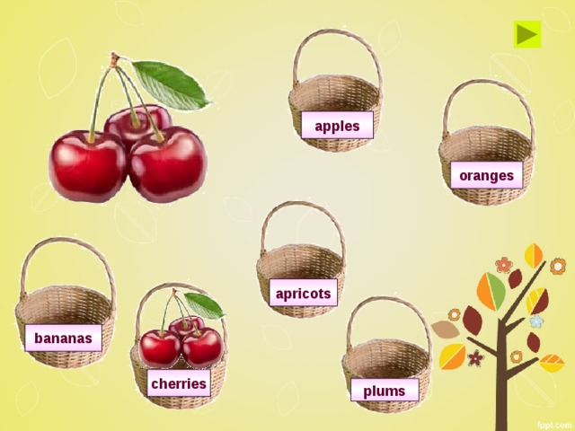 apples oranges apricots bananas cherries plums 