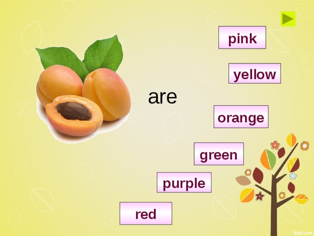 pink yellow are orange green purple red 