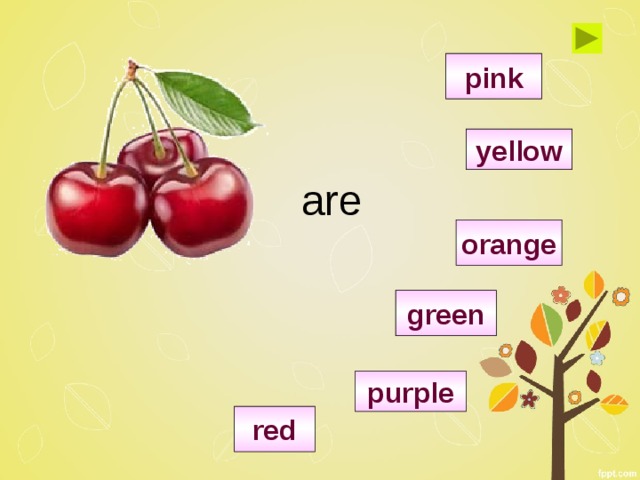 pink yellow are orange green purple red 