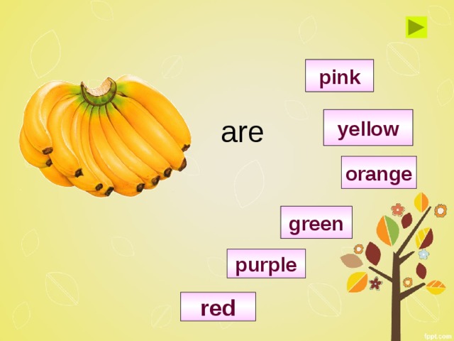 pink yellow are orange green purple red 