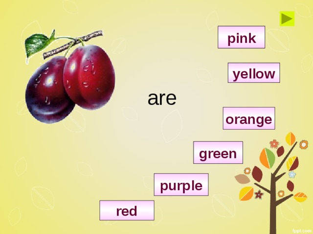 pink yellow are orange green purple red 