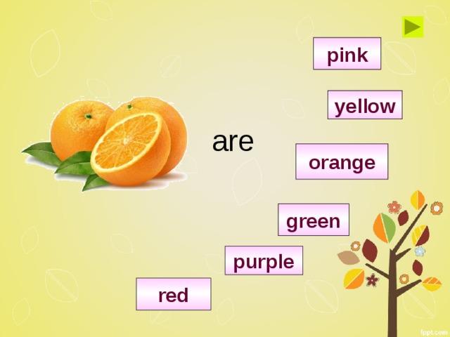 pink yellow are orange green purple red 