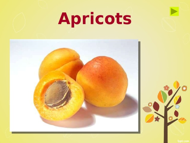 Apricots 