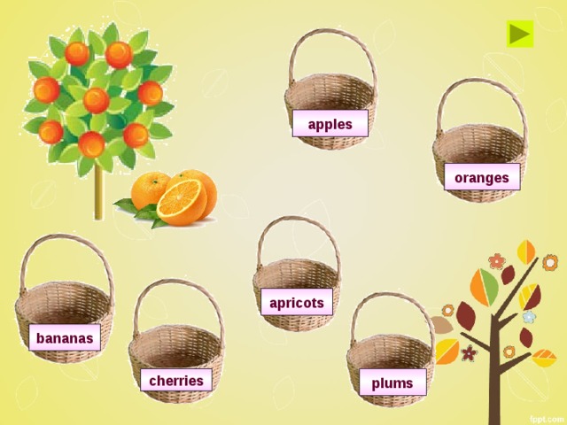 apples oranges apricots bananas plums cherries 