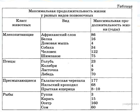 Животные и их продолжительность жизни таблица