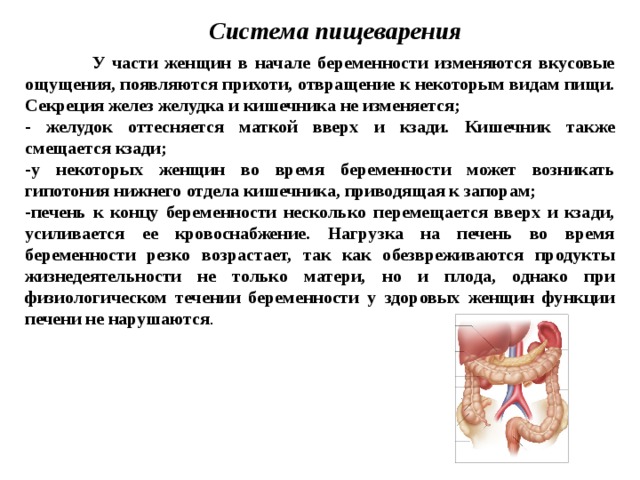 Презентация на тему физиологическая беременность