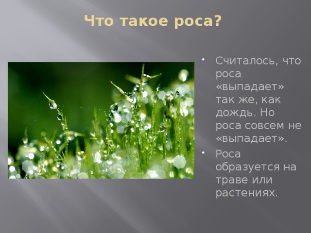 Что такое роса?   Считалось, что роса «выпадает» так же, как дождь. Но роса совсем не «выпадает». Роса образуется на траве или растениях. 