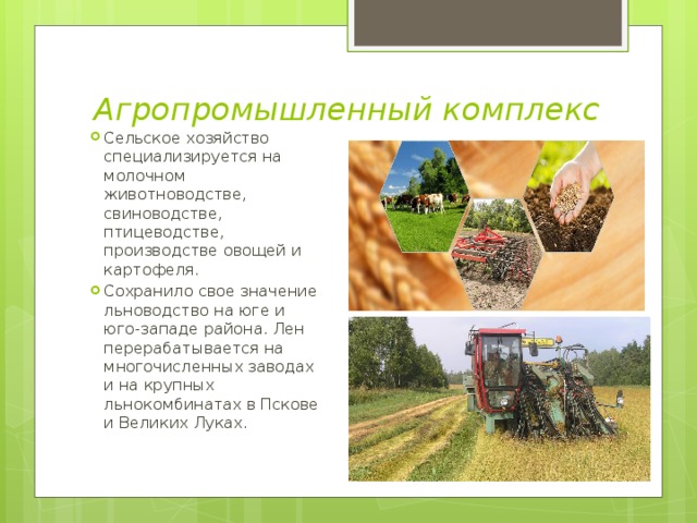 Значение агропромышленного комплекса