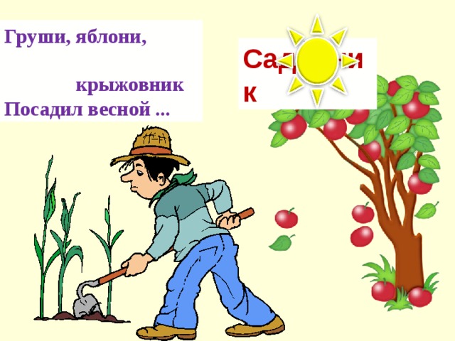 Садовник яблони