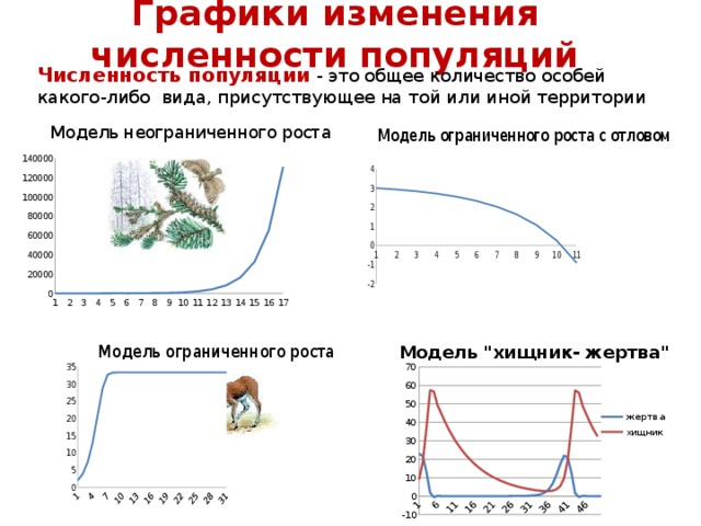 Как изменится численность мышей и коз. График изменения численности популяции. Графики изменения численности популяций. Изменение численности популяции. Причины изменения численности популяции.