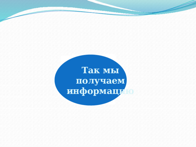 Так мы  получаем информацию 