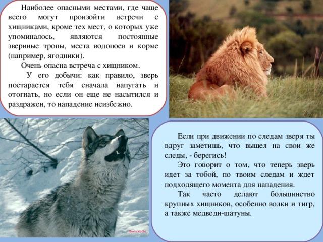 Что является самым опасным. Возможные опасности в пути и меры по их предупреждению. Возможные опасности в пути и меры по их предупреждению ОБЖ 6 класс. Предложение звериные тропы. В каких ситуация животные наиболее опасны?.