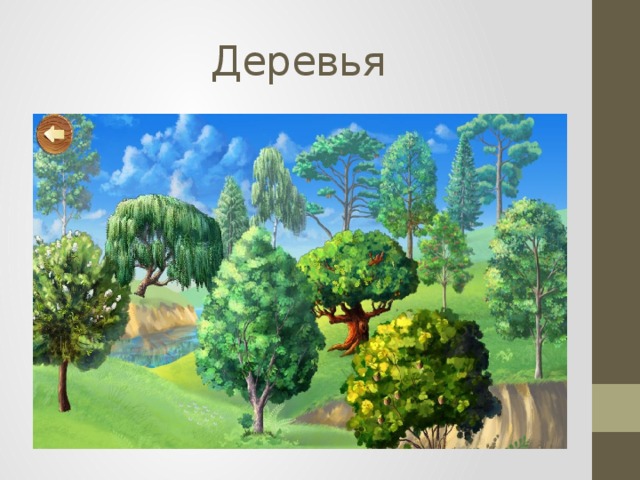 Деревья 