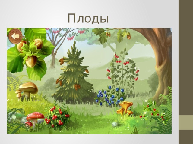Плоды 