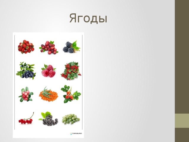 Ягоды 