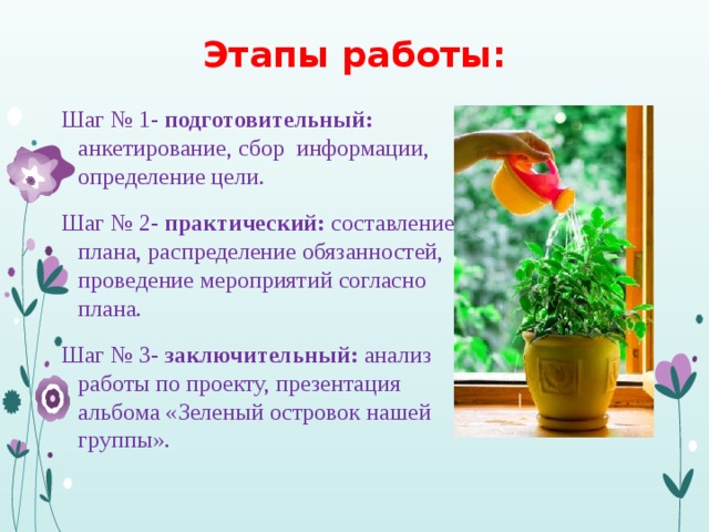 Этапы работы: Шаг № 1- подготовительный: анкетирование, сбор информации, определение цели. Шаг № 2- практический: составление плана, распределение обязанностей, проведение мероприятий согласно плана. Шаг № 3- заключительный: анализ работы по проекту, презентация альбома «Зеленый островок нашей группы». 