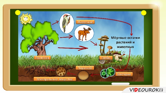 Схема круговорот веществ в природе 3 класс