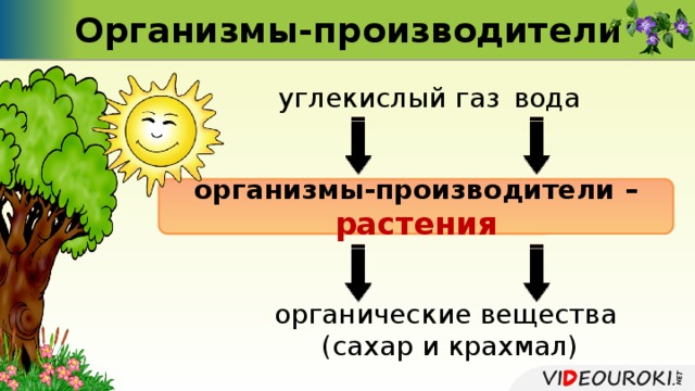 Производящие органическое вещество