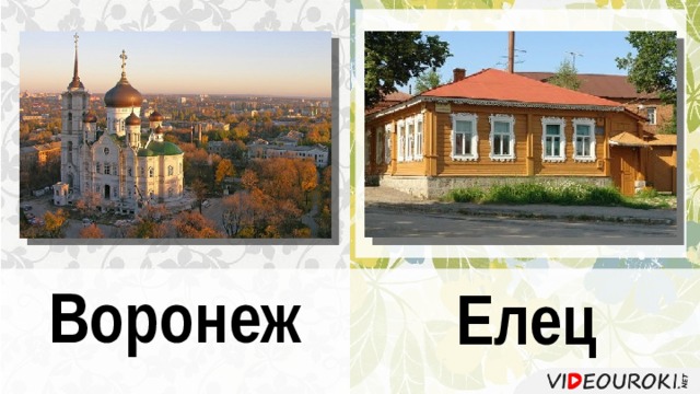 Воронеж елец