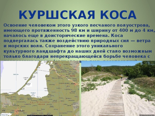 Карта национального парка куршская коса