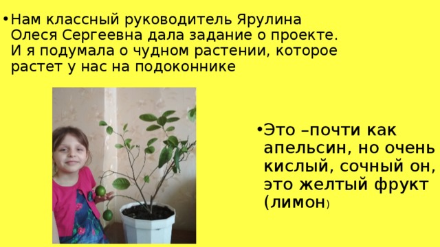 Нам классный руководитель Ярулина Олеся Сергеевна дала задание о проекте. И я подумала о чудном растении, которое растет у нас на подоконнике Это –почти как апельсин, но очень кислый, сочный он, это желтый фрукт (лимон ) 
