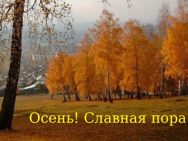 Осень! Славная пора! 