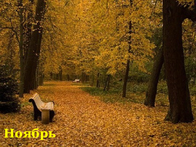 Ноябрь 