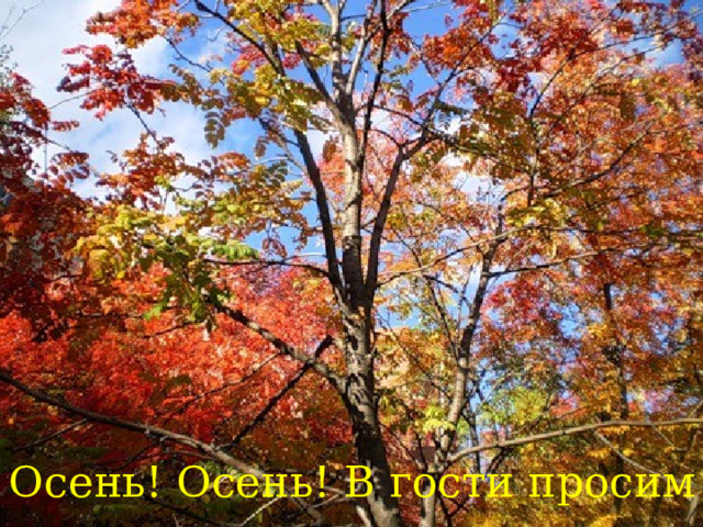 Осень! Осень! В гости просим ! 