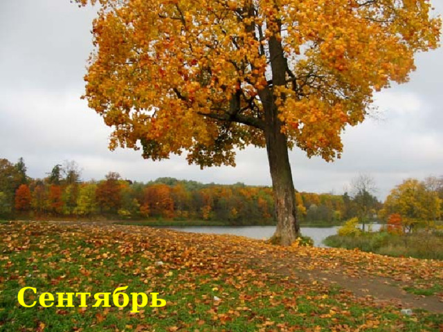 Сентябрь 