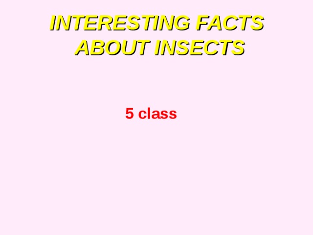 INTERESTING FACTS  ABOUT INSECTS 5 class 