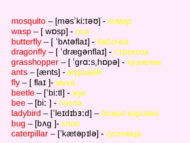 mosquito  – [ məsˈkiːtəʊ ]  - комар  wasp –  [ wɒsp] -  оса butterfly –  [ ˈbʌtəflaɪ] -  бабочка  dragonfly –  [ ˈdrægənflaɪ] - стрекоза grasshopper –  [ ˈgrɑːsˌhɒpə] - кузнечик ants – [ænts] - муравей fly –  [ flaɪ ]- муха beetle – [ˈbiːtl]  - жук  bee – [biː ]  - пчела ladybird – [ˈleɪdɪbɜːd] – божья  коровка bug – [bʌg ]- клоп caterpillar – [ˈkætəpɪlə] - гусеница 