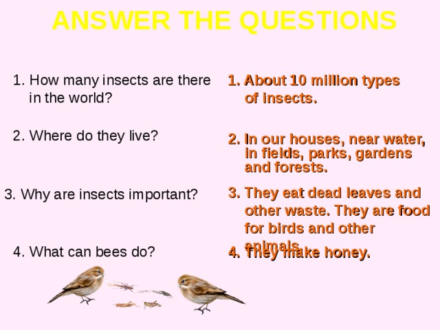 ANSWER THE QUESTIONS How many insects are there in the world? 1. About 10 million types of insects. 2. Where do they live? 2. In our houses, near water, in fields, parks, gardens and forests. 3. They eat dead leaves and other waste. They are food for birds and other animals. 3. Why are insects important? 4. What can bees do? 4.  They make honey.  