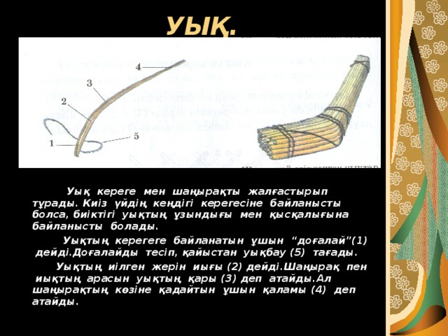 УЫҚ.  Уық кереге мен шаңырақты жалғастырып тұрады. Киіз үйдің кеңдігі керегесіне байланысты болса, биіктігі уықтың ұзындығы мен қысқалығына байланысты болады.  Уықтың керегеге байланатын ұшын “доғалай”(1) дейді.Доғалайды тесіп, қайыстан уықбау (5) тағады.  Уықтың иілген жерін иығы (2) дейді.Шаңырақ пен иықтың арасын уықтың қары (3) деп атайды.Ал шаңырақтың көзіне қадайтын ұшын қаламы (4) деп атайды.  