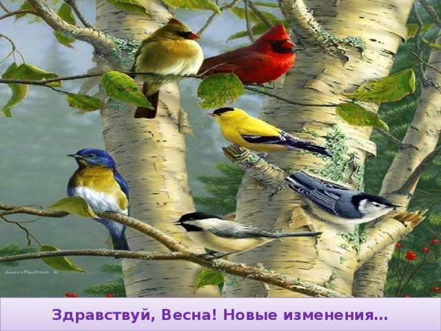 Здравствуй, Весна! Новые изменения… 